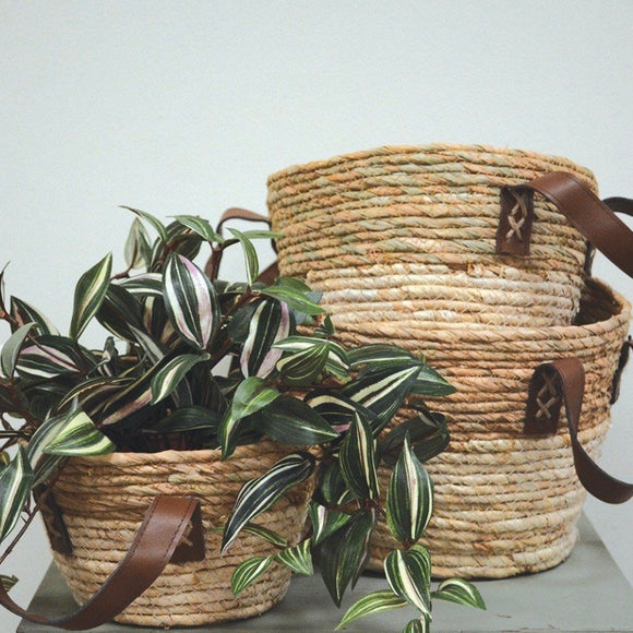 Seagrass Woven Basket Set